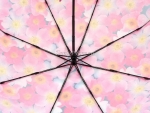 Зонт  женский Zicco, арт.2240-5_product
